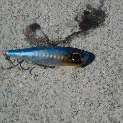 先週ポッパーで当りが有った正体を掴みに今回もまたやって来ました。