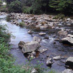 一庫大路次の鮎