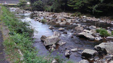 一庫大路次の鮎