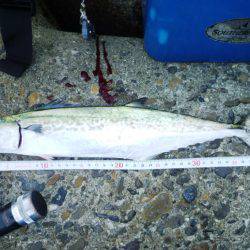 ５バイトやのに…１ゲット