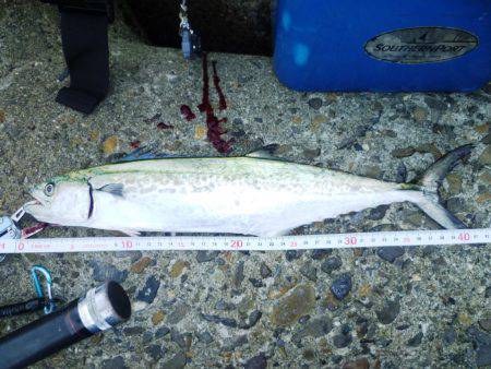 ５バイトやのに…１ゲット