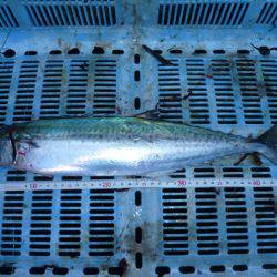 3バラシ、1ゲット