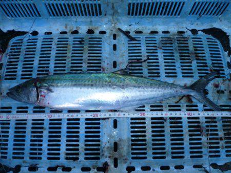 3バラシ、1ゲット