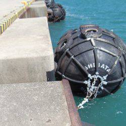 小サバ減り小アジそこそこ