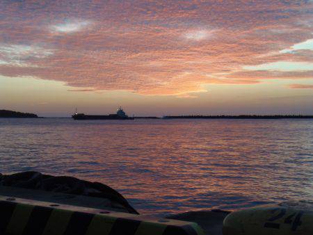 ２０㎝級の小サバいなくなった