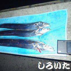 タチウオとマイワシ。