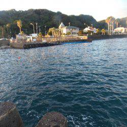 シマアジ少ない