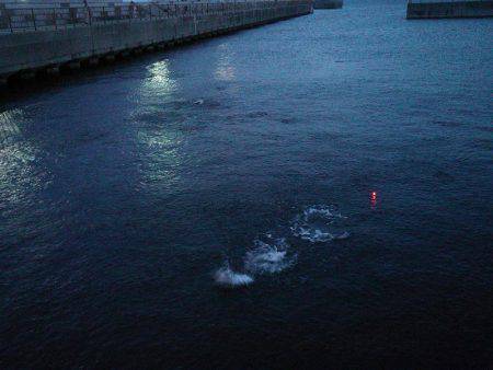 短時間のませ釣行