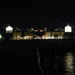 のませ&サビキ釣行