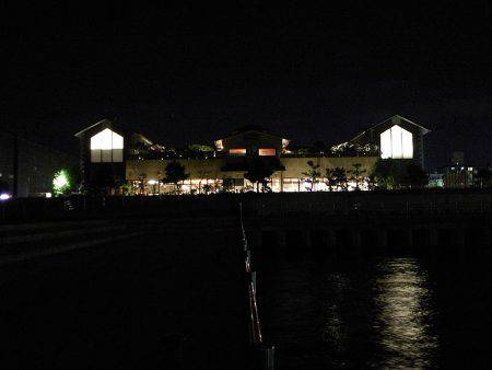 のませ&サビキ釣行