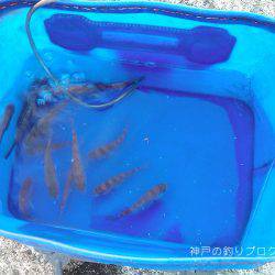 楽しいファミリーフィッシング