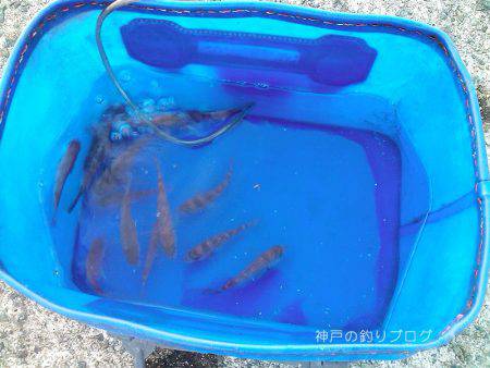 楽しいファミリーフィッシング