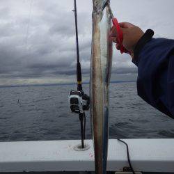 釣船：釣人家にて船太刀魚　