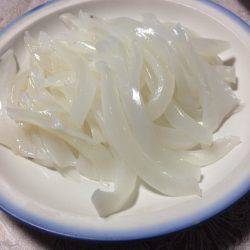 石津浜でアオリイカ好調。湾内ではカマスが入れ食い