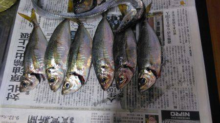 決定打が見つからずポツリポツリ。