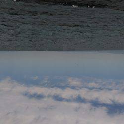 ターンオーバーで水が悪い