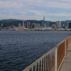 今年初サゴシ！