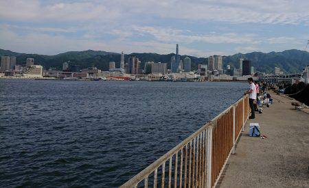 今年初サゴシ！