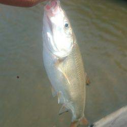 休憩時間にエントリー