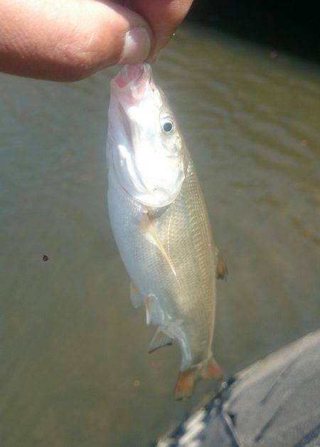 休憩時間にエントリー