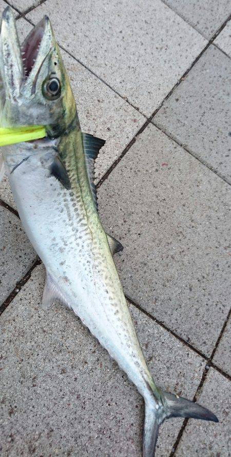 祭り…ではないな