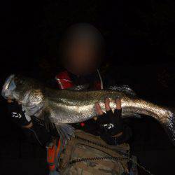 まさかのランカー