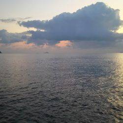 エギング撃沈からの尺アコウ