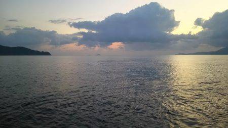 エギング撃沈からの尺アコウ