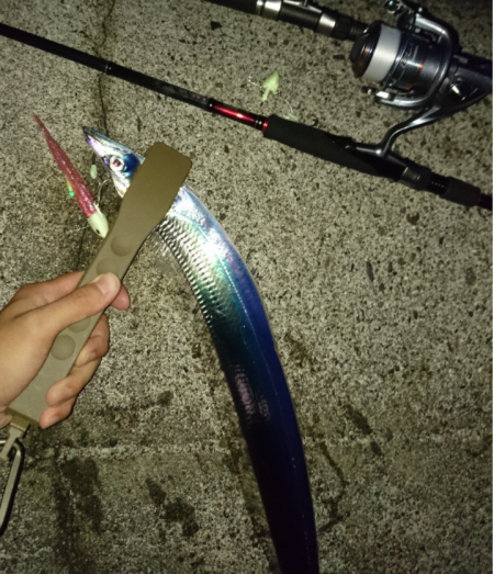 水軒テトラでタチウオ