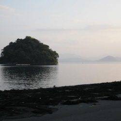 エギング、アオリイカ。