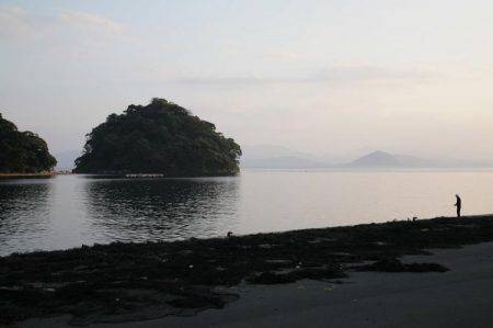 エギング、アオリイカ。