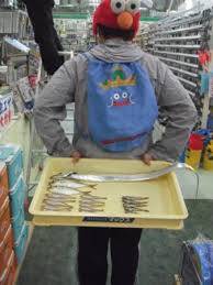 日本で1番タチウオを釣り上げた男。(仮)