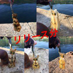 サイズはこれから