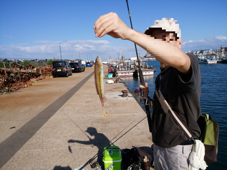 チョイ投げでキス五目
