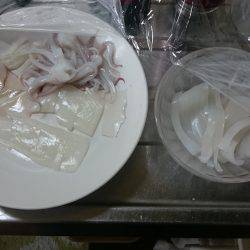 今期初ケンサキイカ!