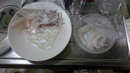 今期初ケンサキイカ!