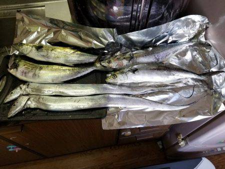 さごしにタチウオ