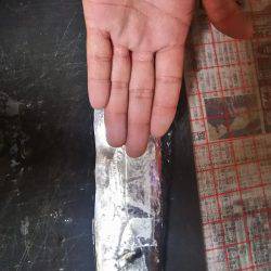 どこも人でいっぱい