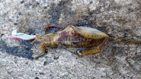 大ウネリに苦戦