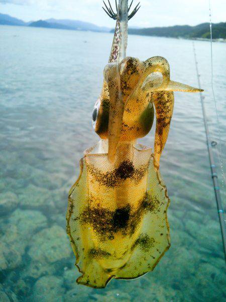 久し振りの調査～♪