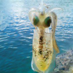 お留守ですか！？