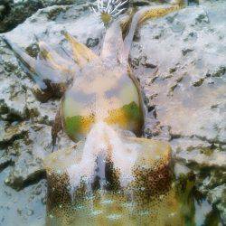 貸し借り(嵐)～♪