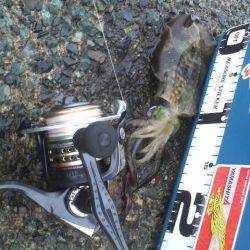 雨　雨　あがれ！