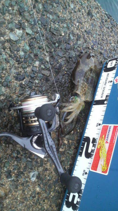 雨　雨　あがれ！