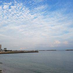 カワハギ狙いが良型キス!