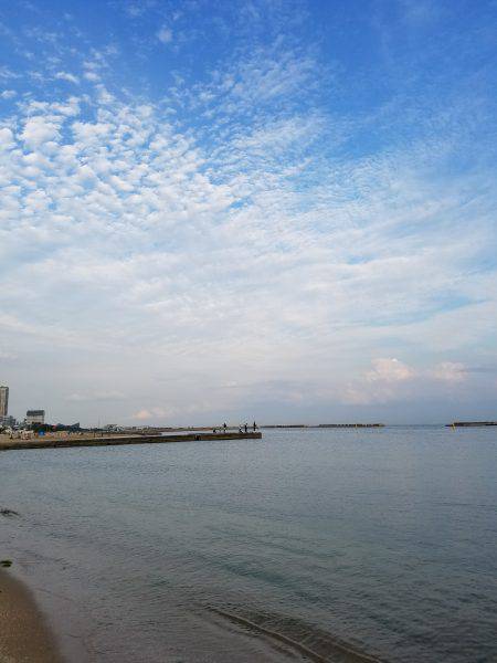 カワハギ狙いが良型キス!