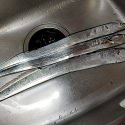 仕事帰りにワインド太刀