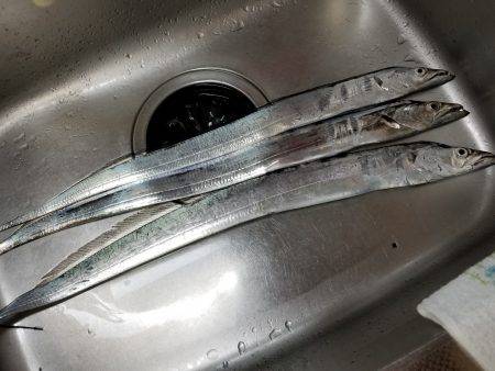 仕事帰りにワインド太刀