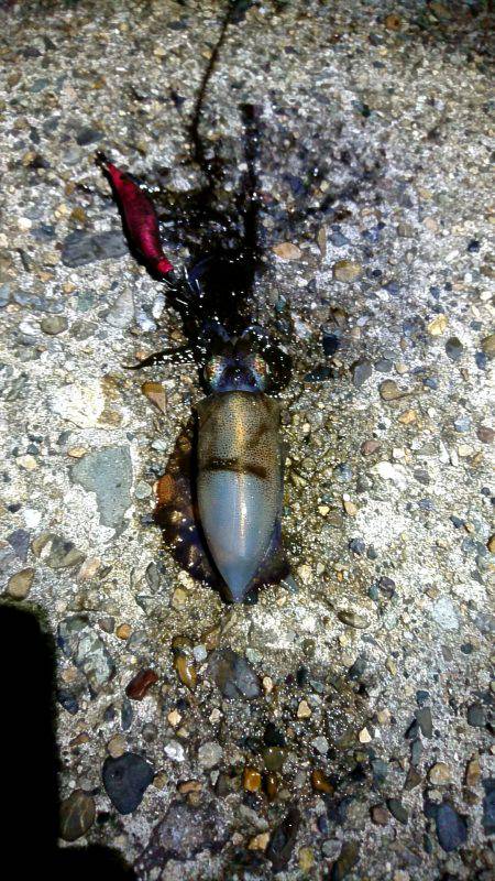 雨上がりの貸し切りの海
