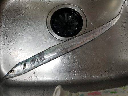 仕事帰りにワインド